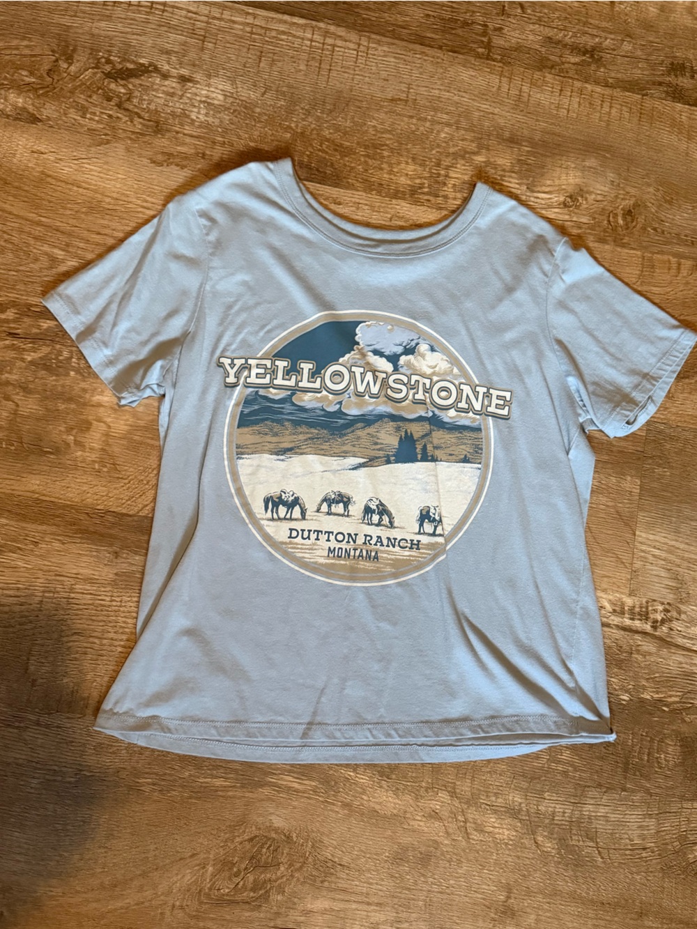 Target Light Blue Yellowstone Graphic Tee